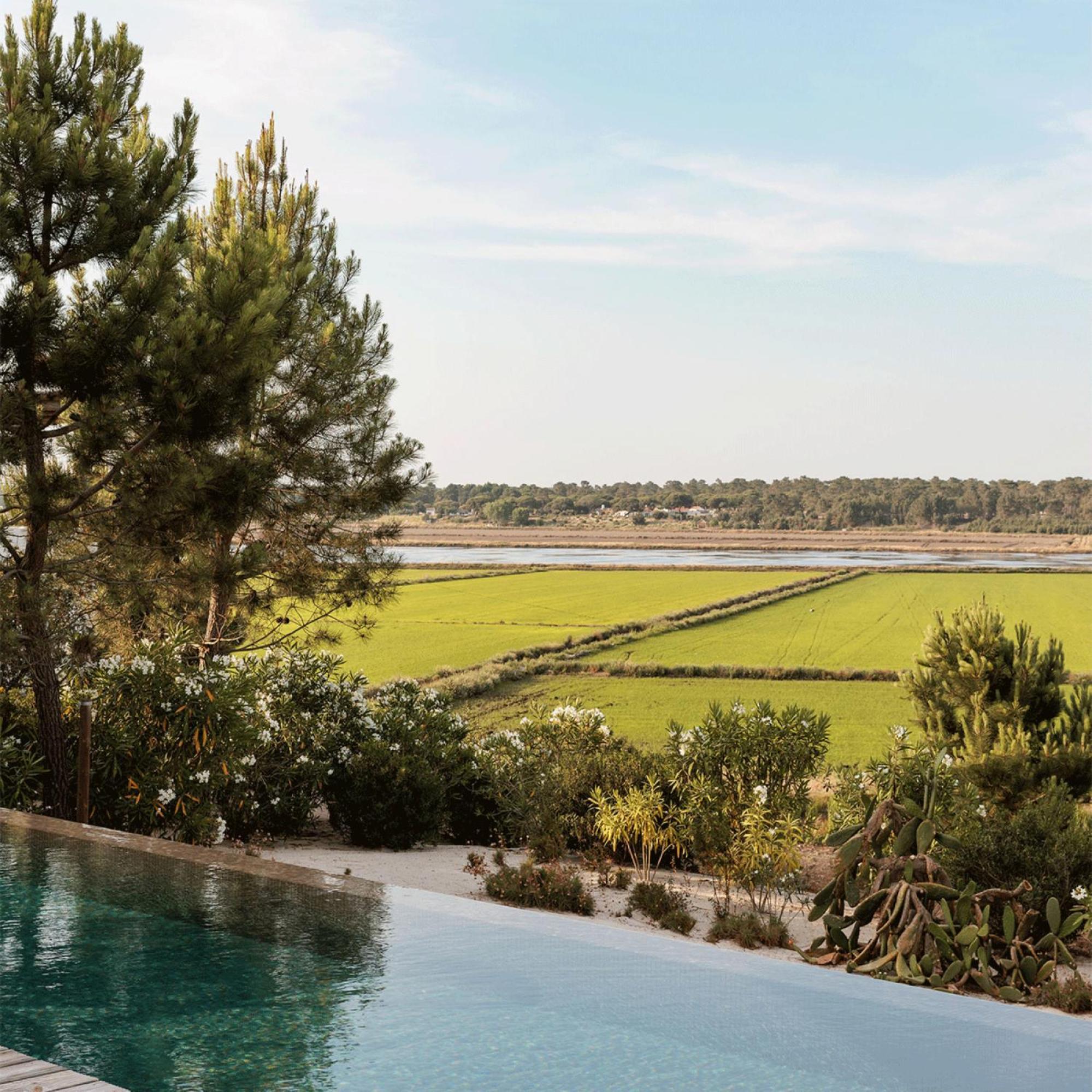 Villa Campo De Arroz Carvalhal  Esterno foto