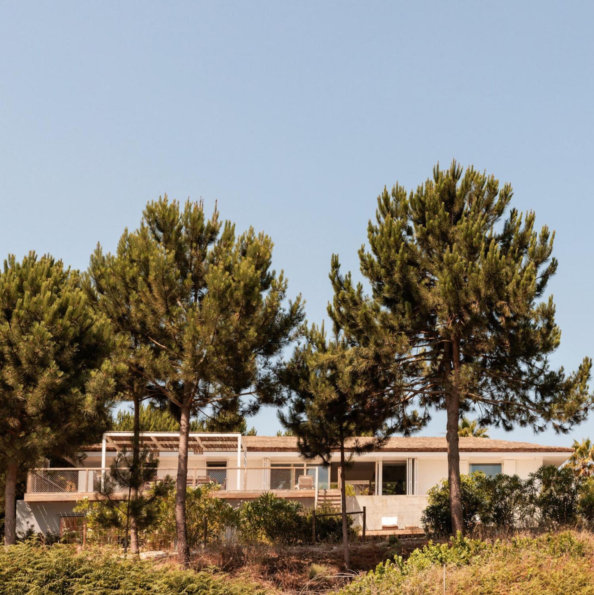 Villa Campo De Arroz Carvalhal  Esterno foto